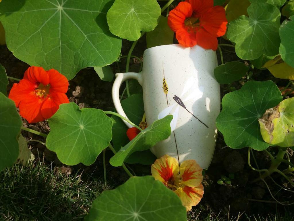 Mingtang Garden Cottage 名堂花园度假屋 Pókhara Exteriér fotografie
