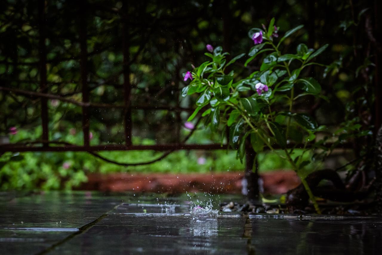 Mingtang Garden Cottage 名堂花园度假屋 Pókhara Exteriér fotografie