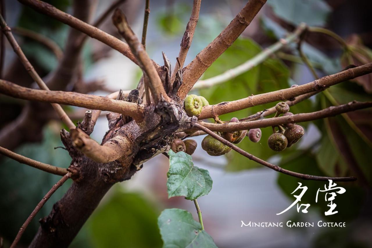 Mingtang Garden Cottage 名堂花园度假屋 Pókhara Exteriér fotografie